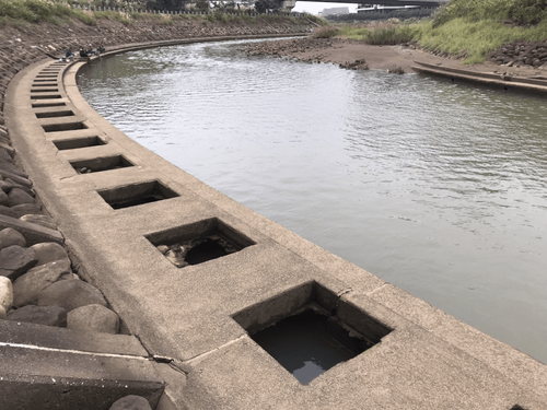 友善生態!無混凝土工法修復淡水「公司田溪」護岸 防洪、生態雙贏