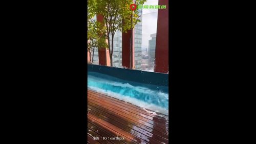 919墨西哥7.6級地震！飯店泳池像海波浪　當地人心驚膽顫