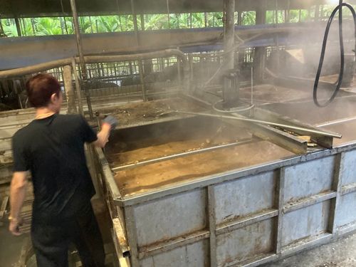 吃餿水染非洲豬瘟?廚餘規定得先煮 屏東黑豬業者抨「脫褲子放屁」