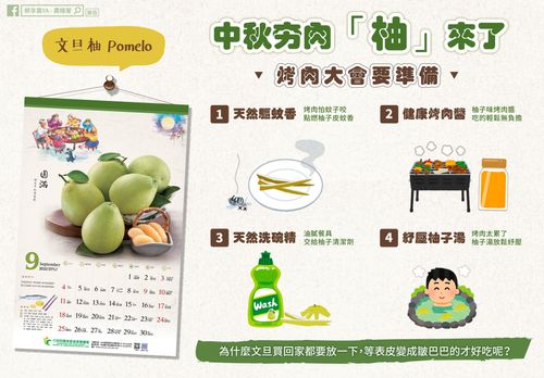 柚子皮別扔掉!農糧署教4妙用 能驅蚊、洗碗、消除疲勞