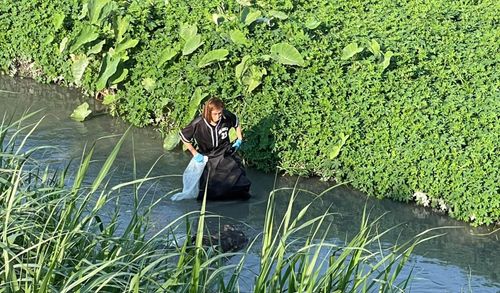 獨家|浪浪往生竟扔溝放水流 彰化清潔隊棄屍還扯謊!志工氣炸