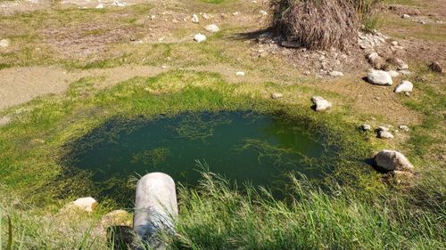 震後怪象！台東富興濕地缺水嚴重　農水署助農友洗井灌溉