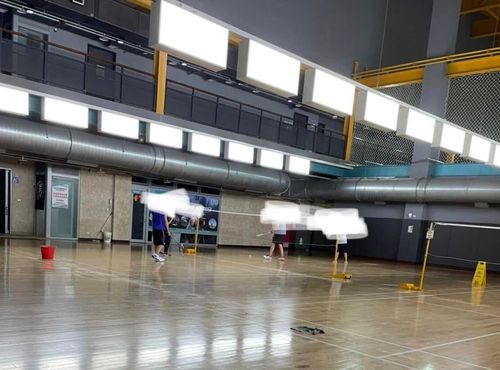 桃園公共設施又漏水!運動中心室內下小雨 民眾滑倒撞膝蓋成傷