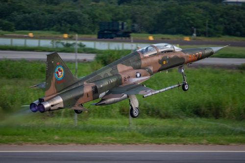 F-5戰機尾翼重現台版Top Gun隊徽 國慶編隊勇鷹致敬歷史