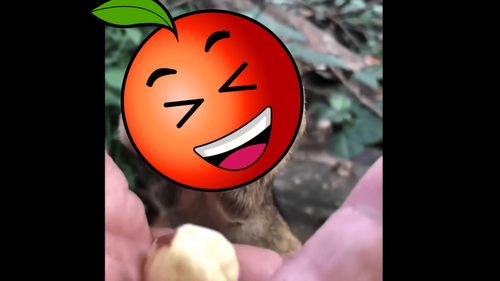 這嘴巴是異次元空間？　路人給的東西牠全塞進去了