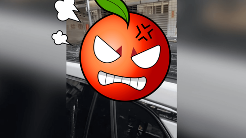 慘不忍睹!車頂滿是「黃金」 車主怒問「是烙賽是不是?」