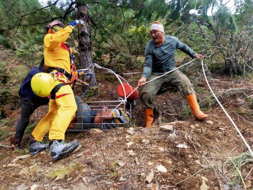 林務局除草工遭蜂螫休克 空勤直升機衝武陵農場吊掛搶命
