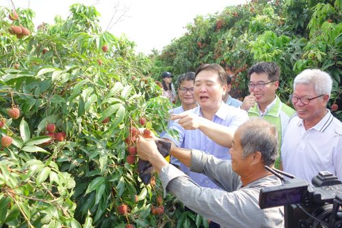 陳其邁22日成立競總 欽點這人當主委