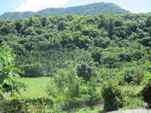 法拍搶便宜！瑞穗千坪土地底價44.2萬　手機配件下殺1折出清