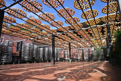 新竹縣休閒農業區評鑑獲大獎 再推寶山、新豐推廣在地產業特色