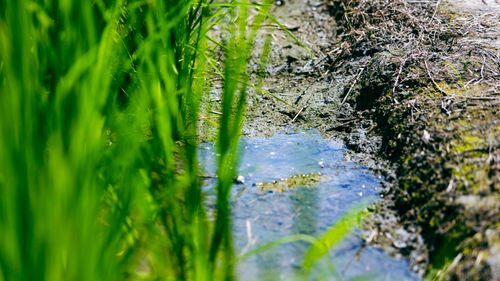 花東縱谷百間建物震裂受損　偏鄉無水可用路面隆起急需救援