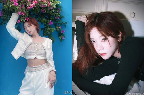 介紹小說竟寫成「芊芊」學子 女星致歉卻被拆穿:根本沒讀過那本書!