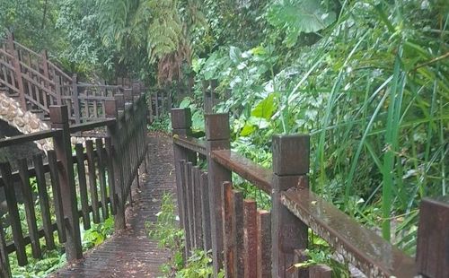 尖石知名景點老鷹溪步道修復完畢　即日起恢復入園