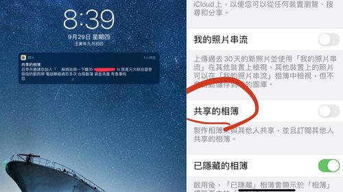 iPhone「加我賴」招數進化了！ 轉攻「這app」網傻眼：詐騙集團真是奇才