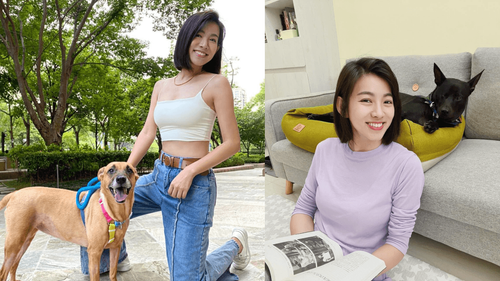 米可白洗冷氣遭對面鄰居投訴　無奈「在規定時間內施工」