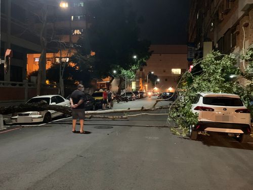 強颱軒嵐諾逼近釀災！台中狂風吹倒路樹　壓毀4車