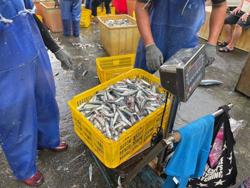 海鮮的代價!釣魚險賠一隻手 醫師:這菌魚市場也有