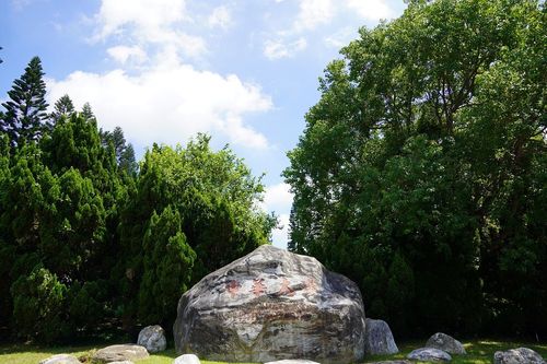 CP值爆熱議!中華大學公布計算法 網驚:台大畢業生要月入10萬才能贏