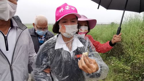 尼莎颱風豪雨轟蘭陽重創農產 林姿妙將向中央爭取補助
