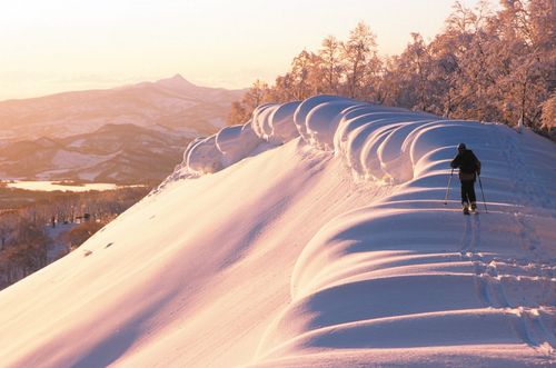 線上旅展|旅行社拼商機日韓最低2萬有找 指定行程再送護照免費辦