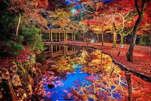 日本自由行|跳島、賞楓、吃屋台!秋遊廣島探宮島紅葉谷