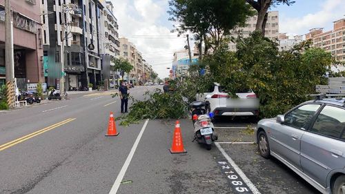 「梅花」做在東北角高雄也遭殃　楠梓樹倒砸1汽車1機車
