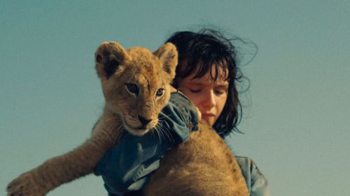 《小獅子王》找6月大幼獅當男一 悲慘身世藏洋蔥