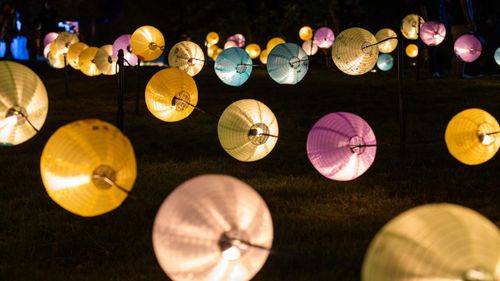 「台東光祭」驚豔開展 聲光藝術結合在地力量點亮知本溫泉