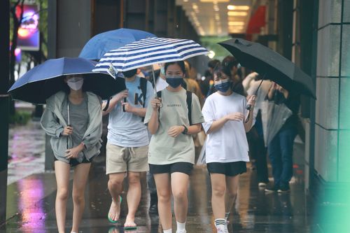 北市紅黃線停車限明早7時前駛離　這五區水門周邊除外
