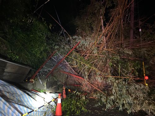 梅花颱風挾豪雨!桃園台7線41.3K土石坍方 竹林衝破防護網阻路