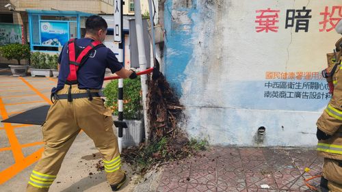 離奇火警！樹包覆電路　結果把自己燒掉了