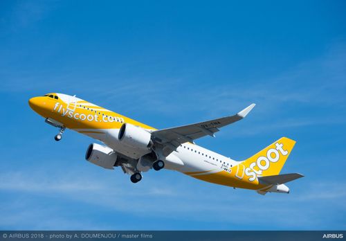 低成本航空開飛台灣10周年!「台北-新千歲」、「台北-首爾」航線10月復飛