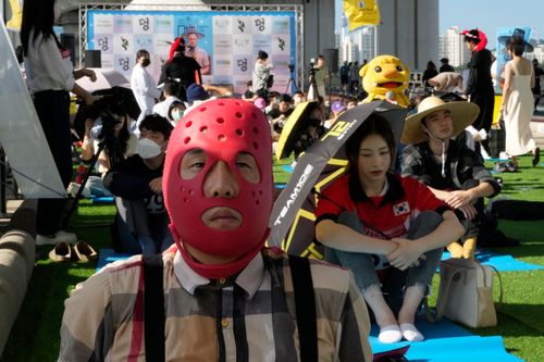 別管漢江水怪了 參加發呆耍廢大賽才是王道