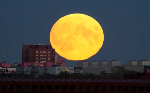 來賞月吧!「狩獵之月」大又圓 帶來滿滿能量