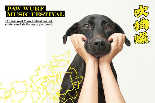 揚名國際!翻轉動物收容所 高雄吹狗螺音樂節奪日本優良設計獎