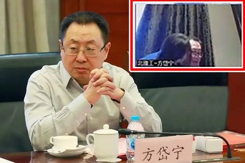 網路開會遭藍衣女博士亂入狂親　中國科學院院士遭調查