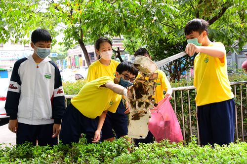 世界環境清潔日服務鄰里　南山中學500師生挽袖掃垃圾
