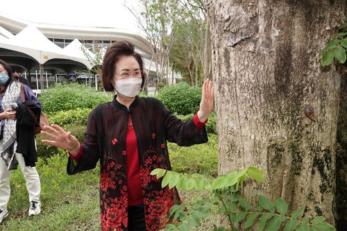 84歲瓊瑤移居淡水久違現身 溫柔撫摸與平鑫濤共栽鳳凰木