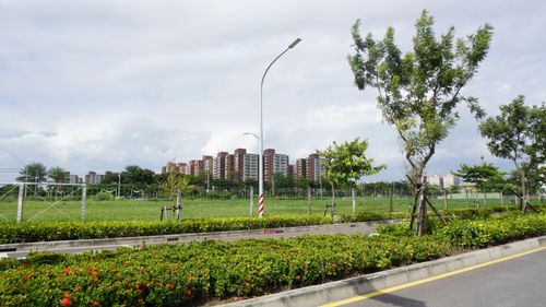 「莊家」離場休息　高市地政局宣布暫緩土地標售