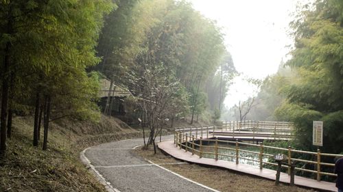 狂吸吧!爆量負離子 雲林草嶺石壁6千萬打造森林療癒基地