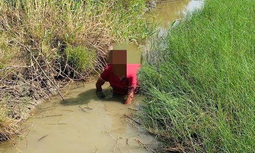 台南女失蹤5天喝泥水活命 警拜拜後「看到人頭冒出草叢」