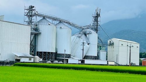 6.8強震無情!毀台東關山3家碾米廠 25座筒倉震垮損失破7千萬