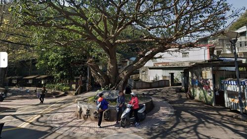 除草工人遭蜂螫傷一度休克 救護員及時施藥挽回一命
