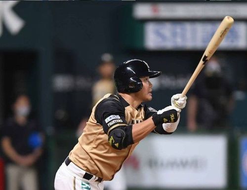 日本火腿與3洋將續約　王柏融動向仍未定案