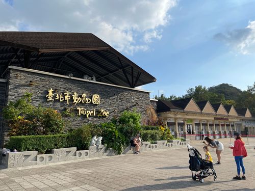 國慶寶寶今免費遊動物園！鳥類名說文解字　「鴟、鴝、䴉」你唸對沒？