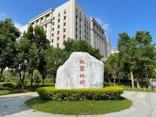 桃園破獲史上最大！占地一甲的大麻田　4200多株價值6億元