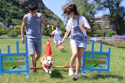 2022狗狗森友會集合囉　83汪星人齊聚基隆參賽闖關