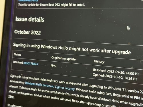Win11 22H2剛推出　Windows Hello就出包