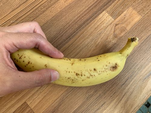 變態獸父逼9歲兒看A片「教你轉大人」！還當妻女面咬摸GG上百次　下場出爐