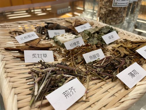 西藥難治新冠重症關鍵在這 清冠二號將衝緊急使用授權